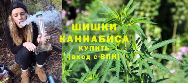 ПСИЛОЦИБИНОВЫЕ ГРИБЫ Иннополис