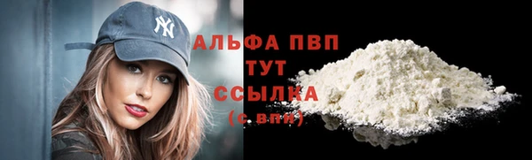 ПСИЛОЦИБИНОВЫЕ ГРИБЫ Иннополис