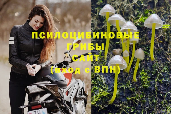ПСИЛОЦИБИНОВЫЕ ГРИБЫ Иннополис