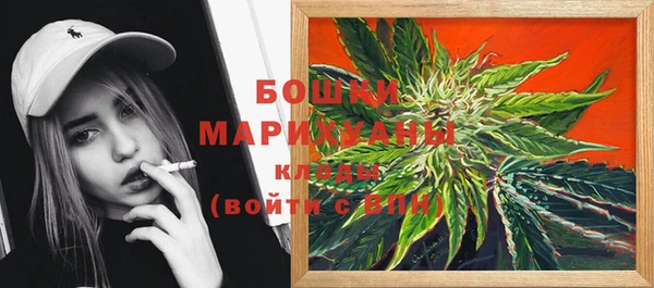 ПСИЛОЦИБИНОВЫЕ ГРИБЫ Иннополис