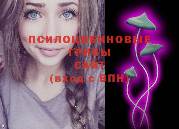 ПСИЛОЦИБИНОВЫЕ ГРИБЫ Иннополис