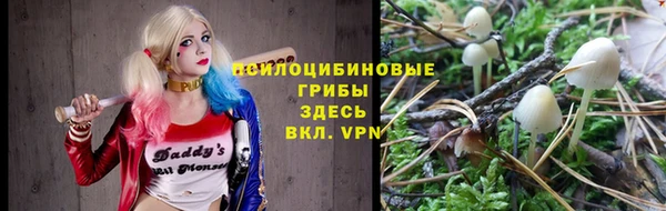 ПСИЛОЦИБИНОВЫЕ ГРИБЫ Иннополис