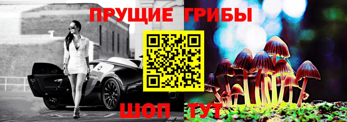 Протвино  Галлюциногенные грибы MAGIC MUSHROOMS  Вход с VPN  Галлюциногенные грибы ЛСД 